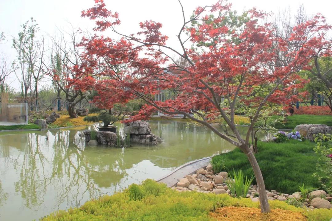 花展的意义,花展布展情况介绍