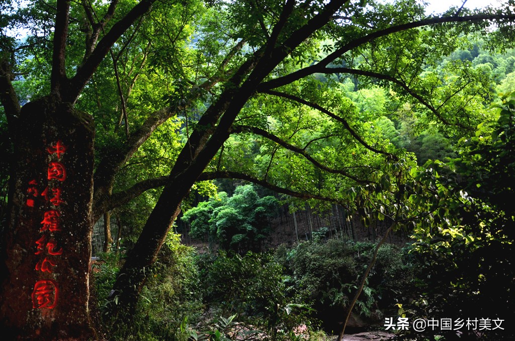 记忆中的赤水,赤水好地方