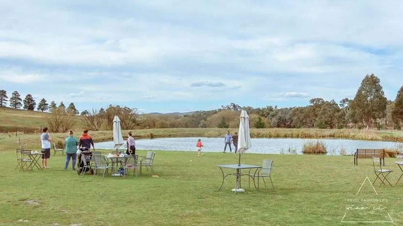 澳洲｜春意堪培拉，看袋鼠、品酒、赏花、住进动物的家