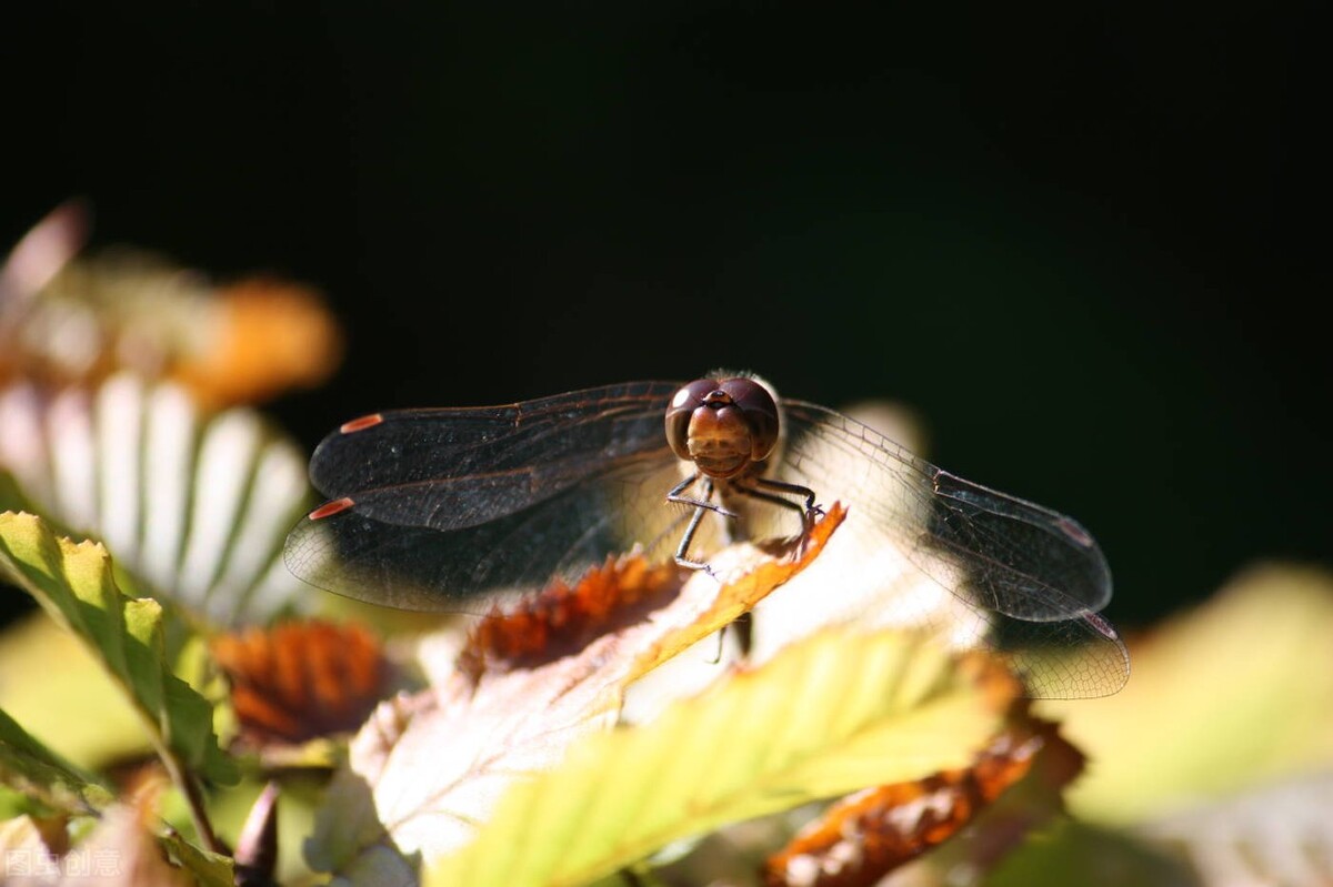 多重曝光拍摄光圈步骤,光圈对摄影曝光的影响