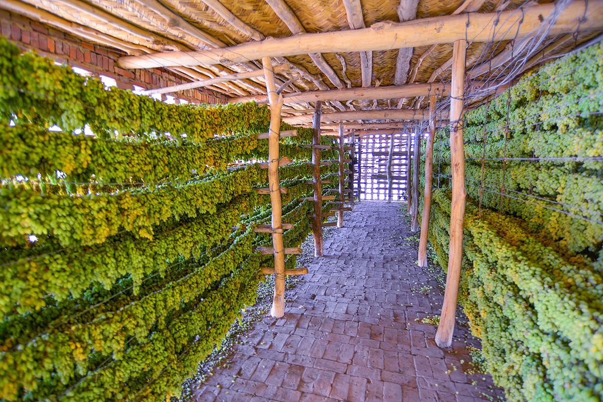 葡萄干很便宜可以吃吗,乌鲁木齐哪种葡萄干最好吃