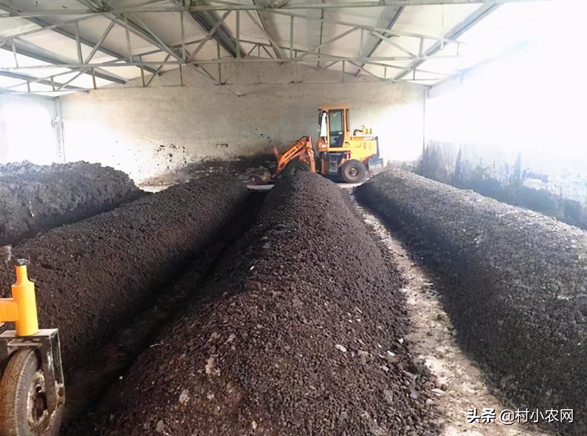 适合农村创业的最新致富项目,8个农村创业致富项目是什么