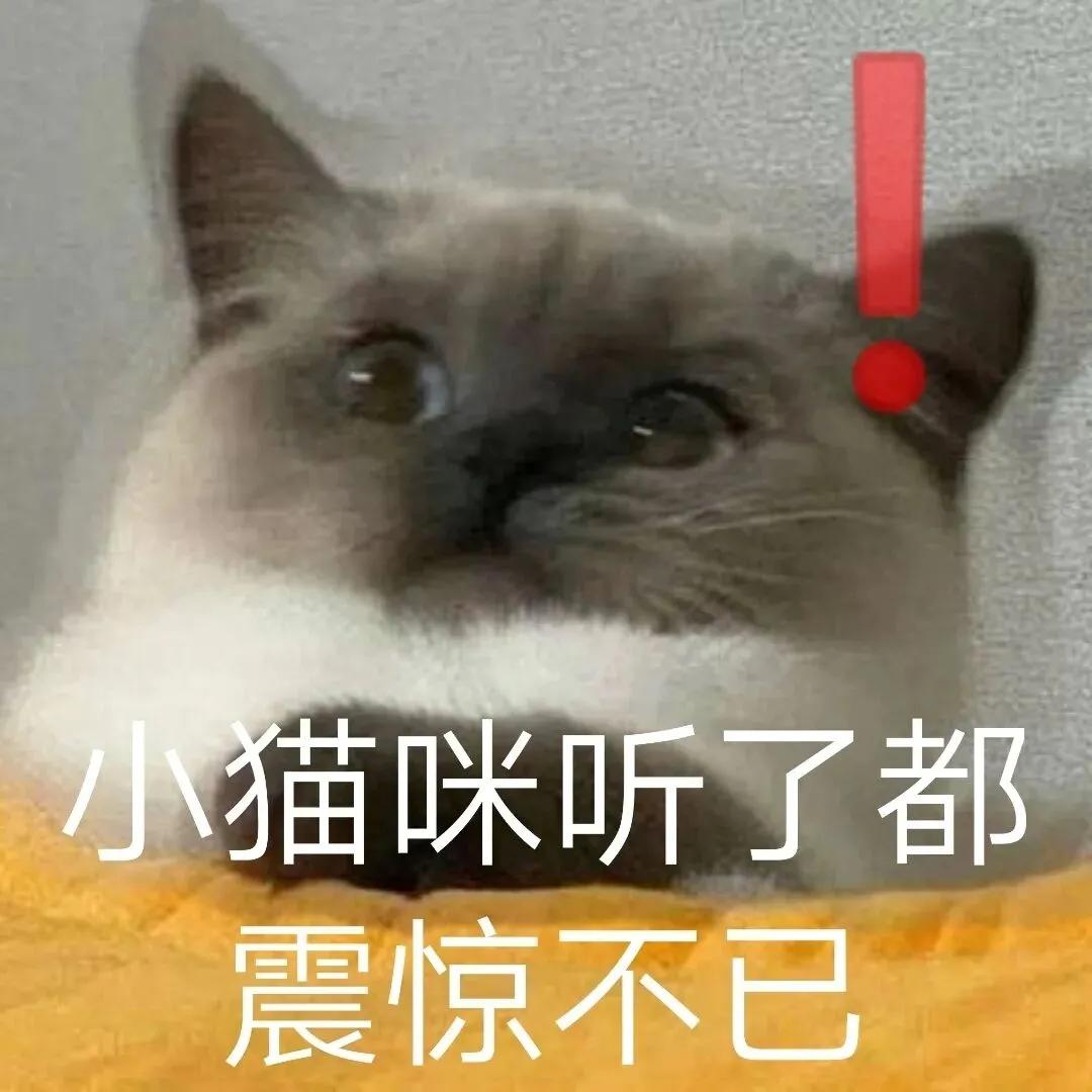 关于不挂科的寝室群名,最奇葩的寝室群名