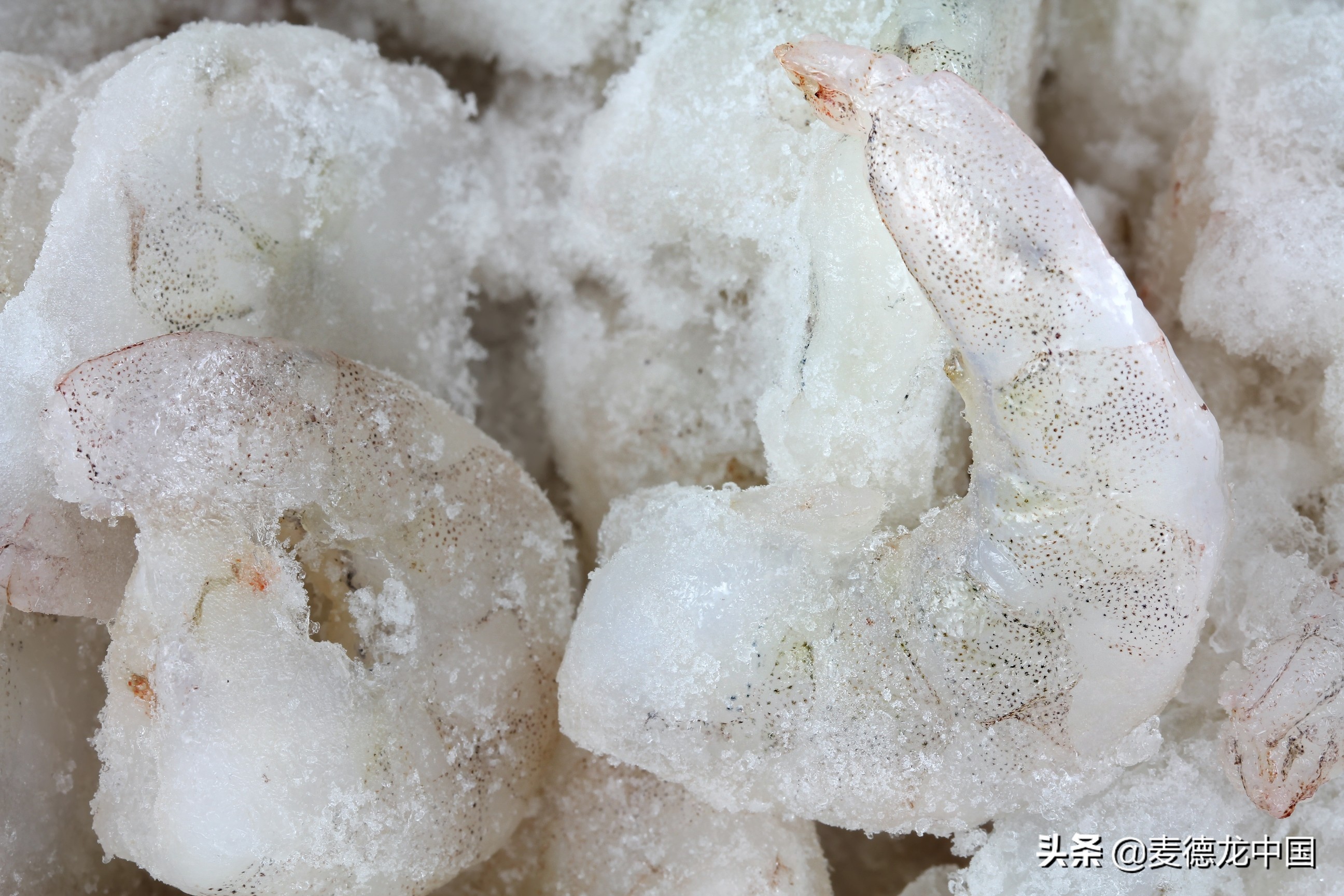 黑虎虾q弹鲜脆,青虾仁白虾仁红虾仁黑虎虾仁