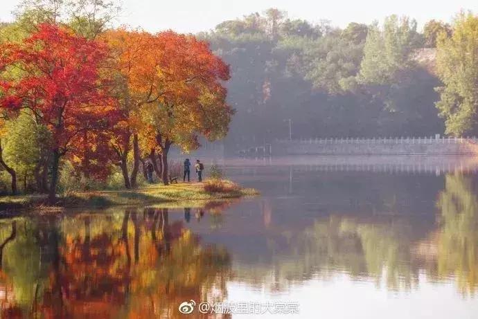 太全了,南京人少景美的免费公园