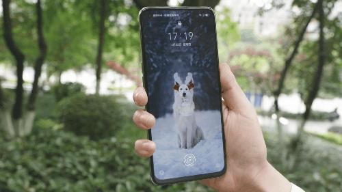 realmeq3是一款直面屏手机吗,realme最具性价比的千元机