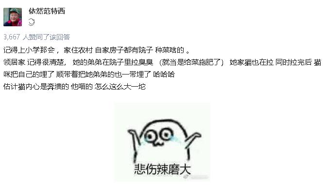 拉屎这么臭，姿势还这么骚，这些猫还真是猫界艾丽