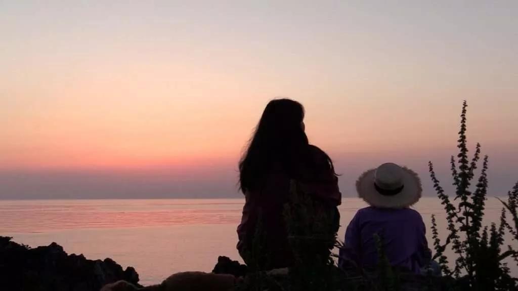 除了《乘风破浪的姐姐》，不出门的日子你也可以看看这些神仙综艺