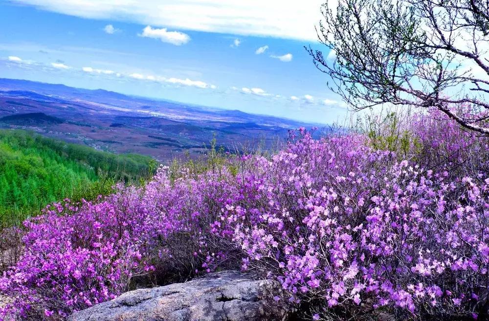 辽源东丰县五一游,辽源十一周边一日游的绝佳去处