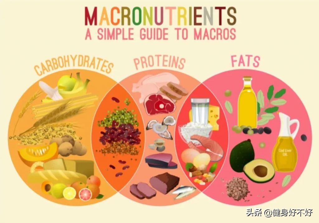 碳水蛋白质脂肪健身怎么吃,碳水蛋白质脂肪健身科普