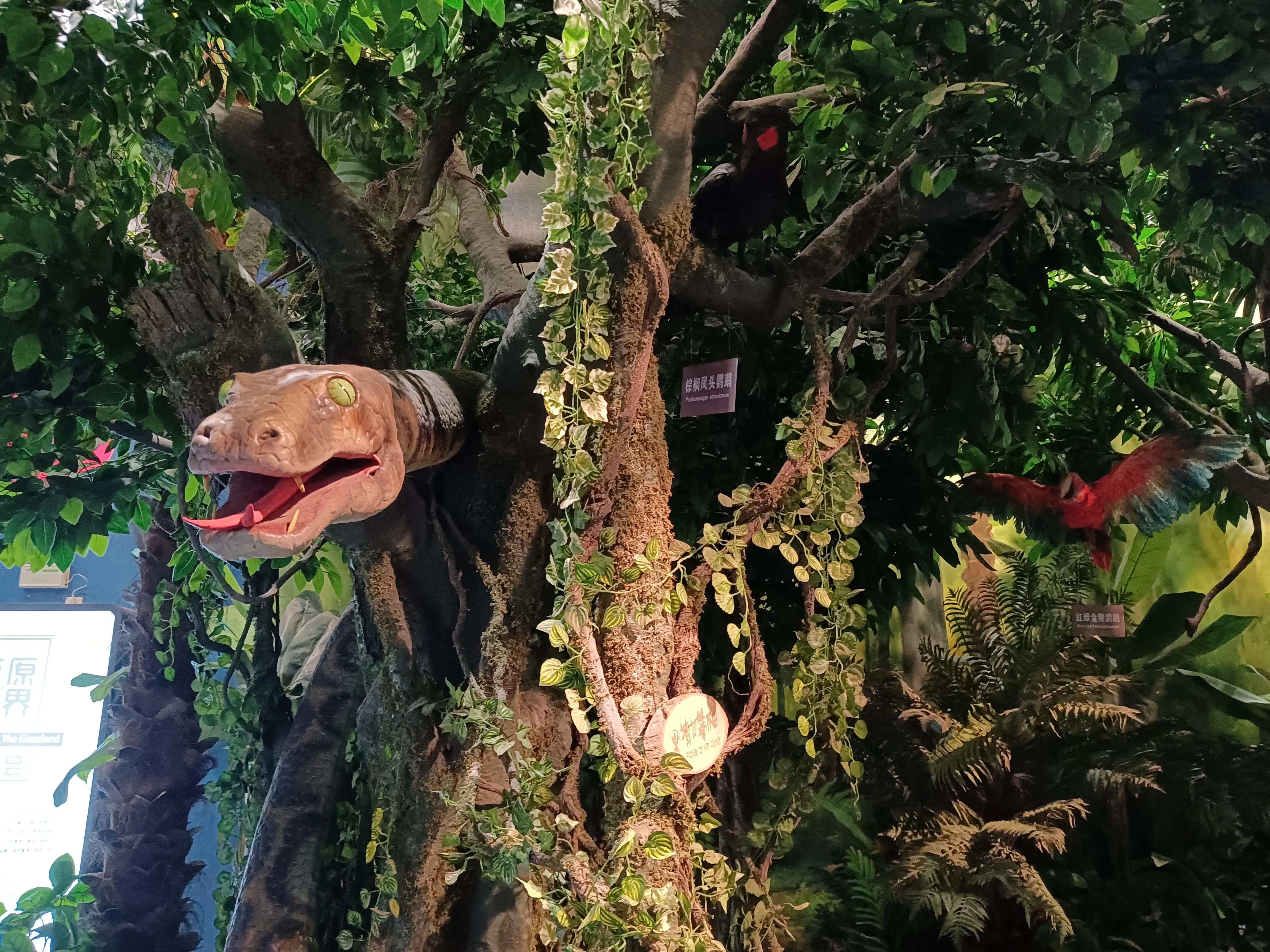 上方山森林公园作文,上方山森林公园动物世界