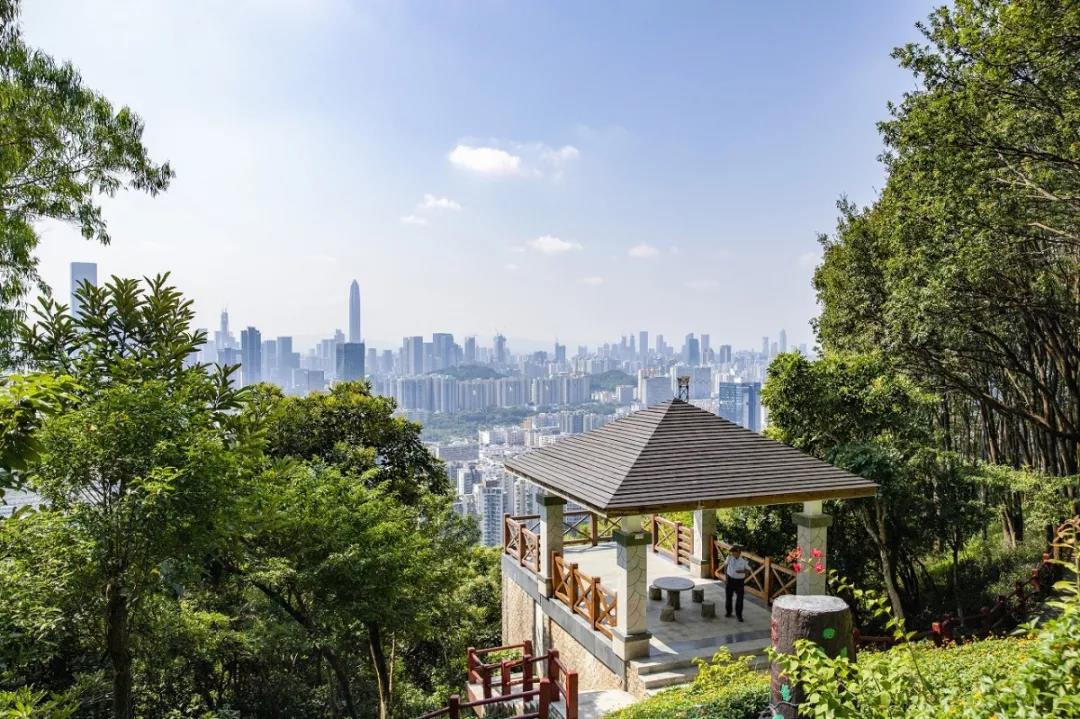 深圳遛娃必去的50个主题公园,深圳亲子游十佳去处免费