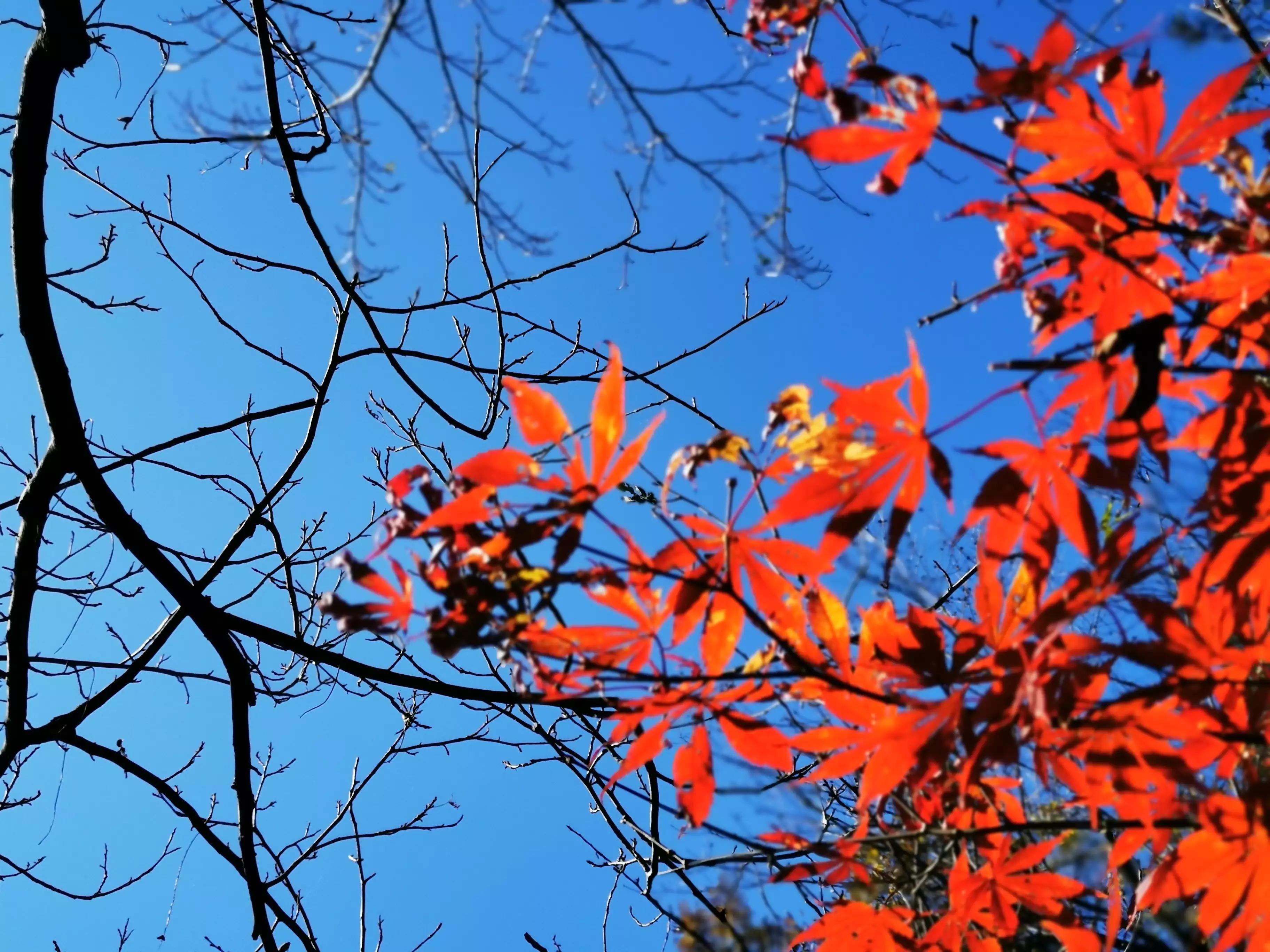 安徽天堂寨风景区,安徽天堂寨