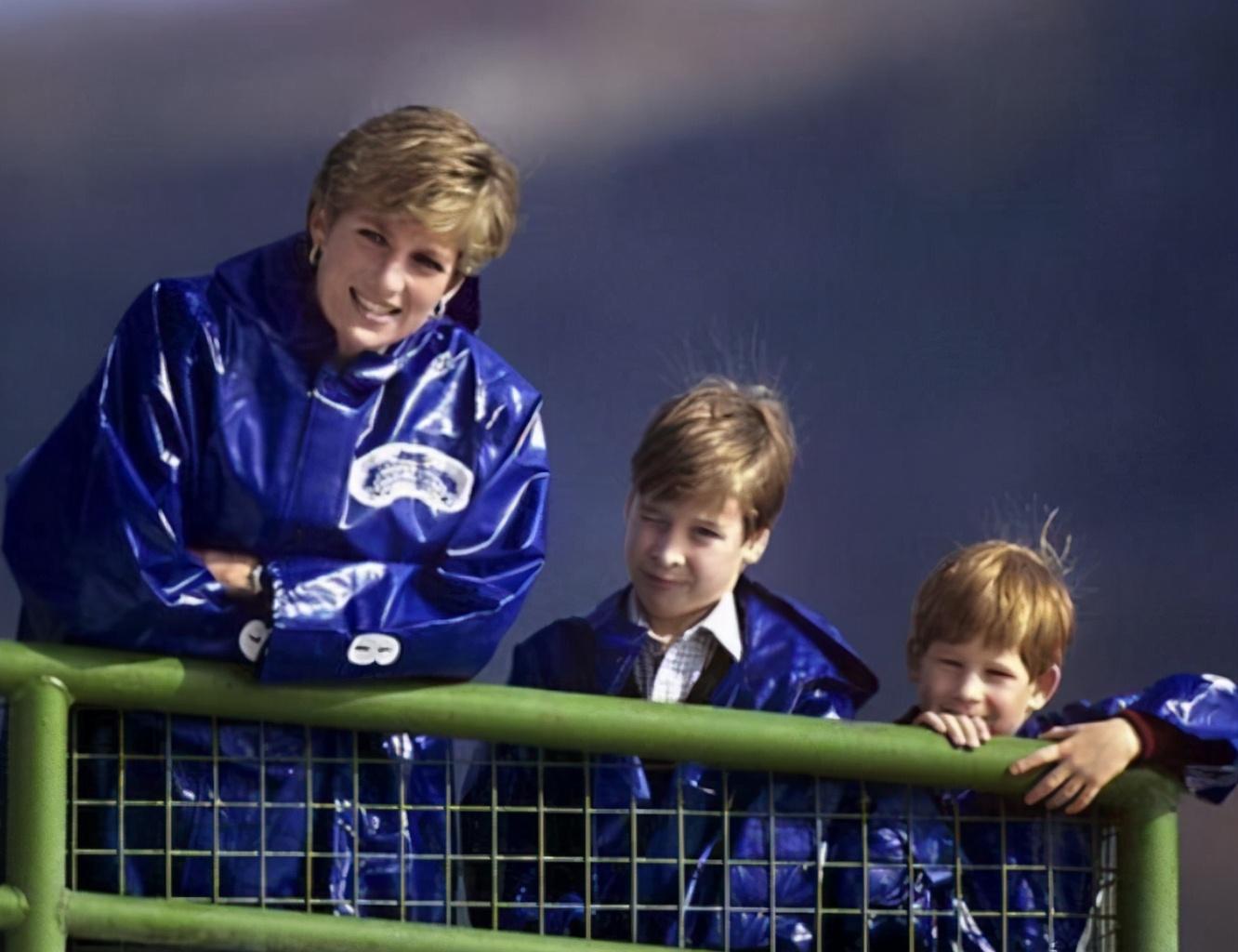 查尔斯对戴安娜做了什么,查尔斯被戴安娜道具酒杯砸头