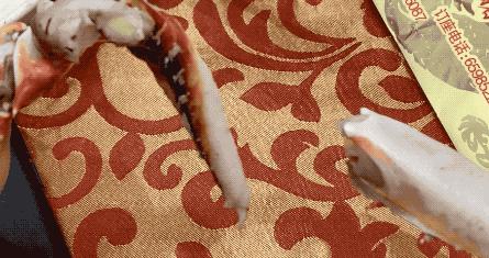 石浦渔港海鲜,石浦渔港码头海鲜