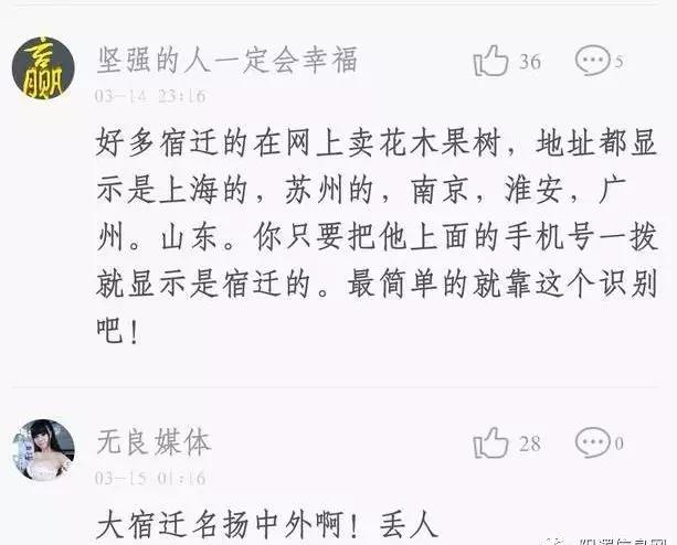 淘宝网店的宿迁神苗,宿迁神苗什么意思