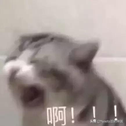 和富豪相亲聊什么,相亲能相到有钱的男生吗