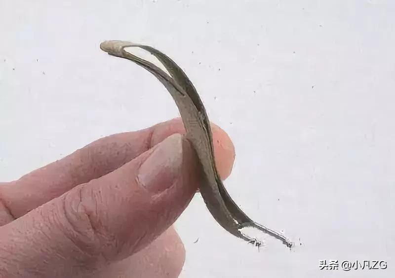 手工制作小老鼠幼儿园,亲子手工制作小老鼠幼儿园