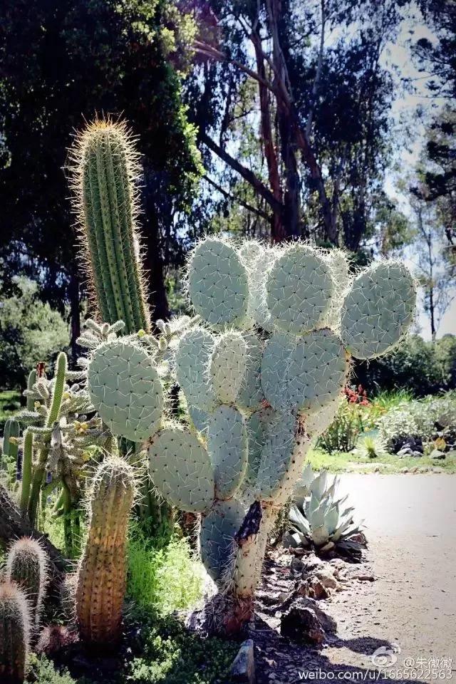 10大赚钱副业摆地摊卖什么最赚钱,做一个摆地摊的姑娘该如何入手