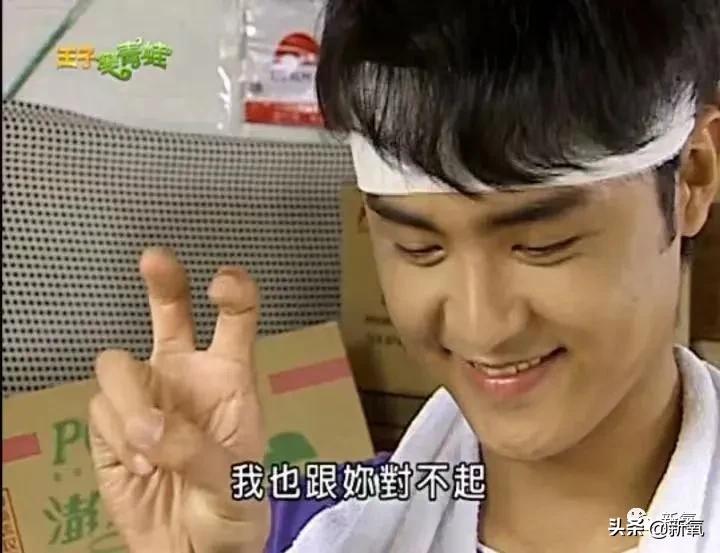 那些年我们追过的台湾电影,那些年我们追过的台湾男神