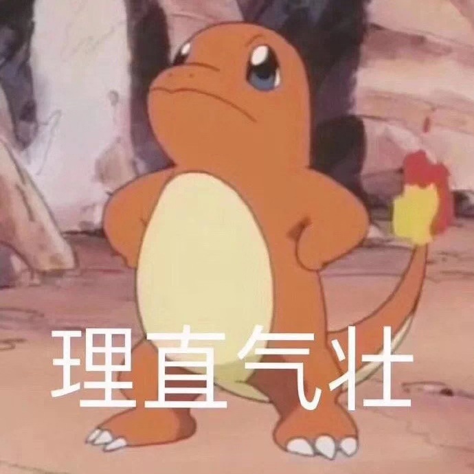 黑色连体裤袜测评,大码粗腿过膝袜测评