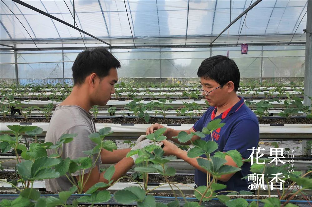 刘博士教种地,刘博士生涯规划