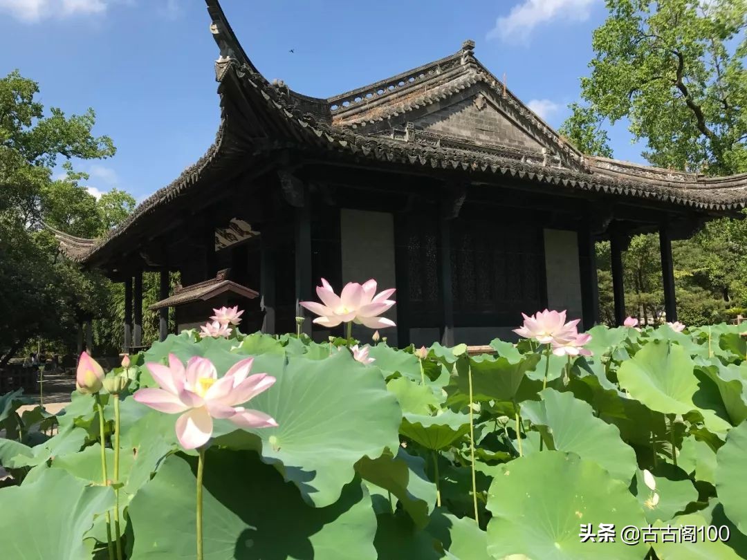 绍兴诗意民宿酒店式公寓,绍兴诗意