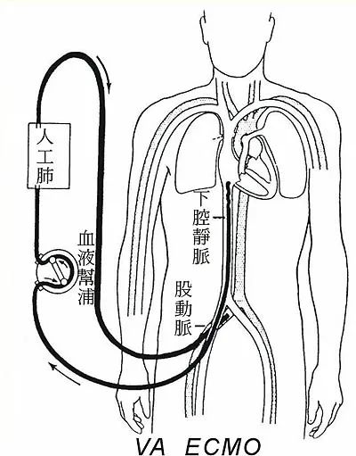 最近，我无师自通了40个专有名词