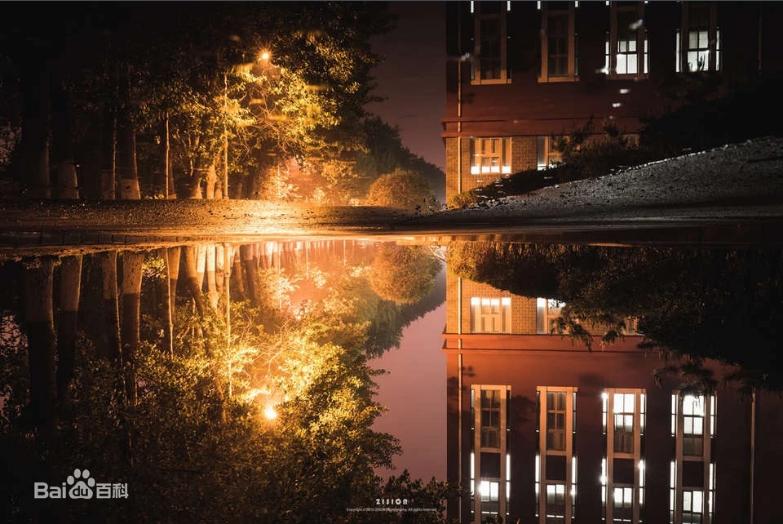 东北大学秦皇岛分校与燕山大学,东北大学秦皇岛分校属于双一流么