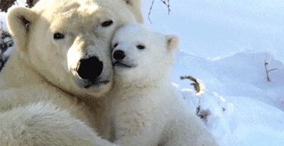 能长上流社会见识的纪录片,有什么可以增加见识眼界的纪录片