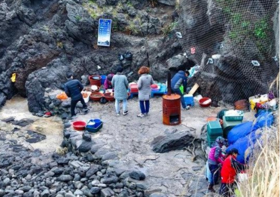 韩国旅游景点警告牌,韩国中文标语