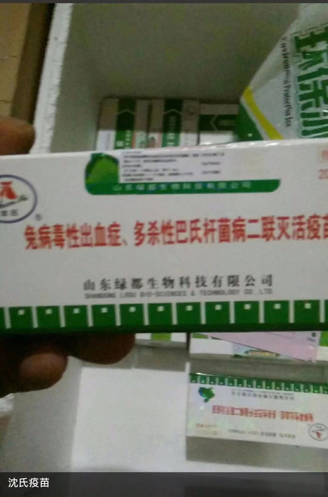 养兔必备药,新手养兔兔需要准备的药品