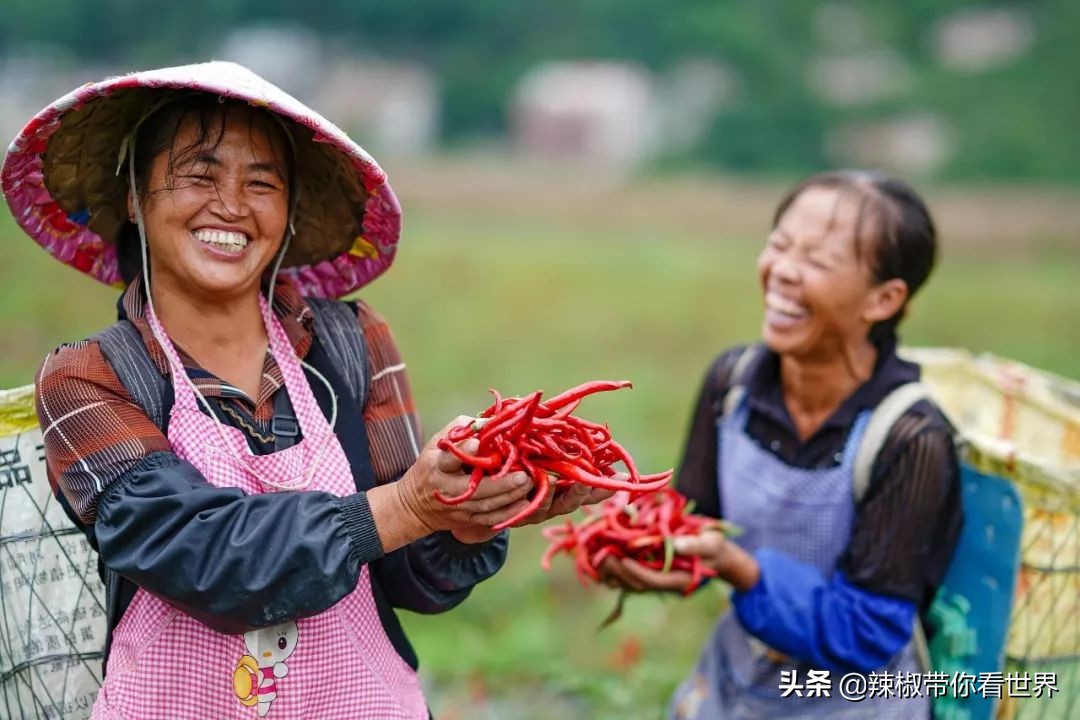 从西到东：贵州——沿河流“黔”行在这里一万种辣椒吃法向你奔来