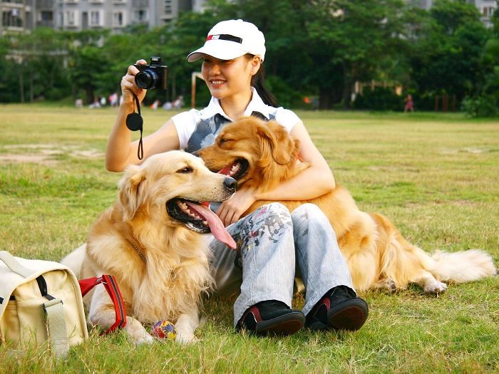 狗狗秋季掉毛严重什么原因,狗狗掉毛程度排行榜