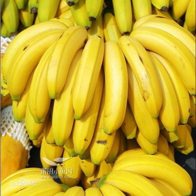 四川水果成熟时间表,福建水果成熟时间表