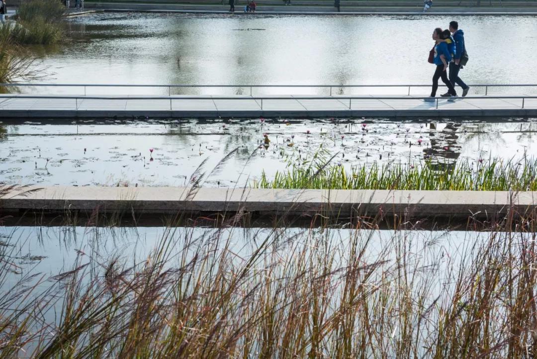 童年主题的景观设计,高端儿童景观设计