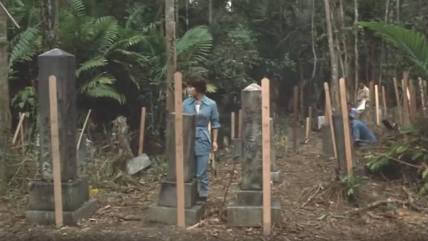 揭开日本“南洋姐”的凄惨，这些为岛国*身卖**的女子，真令人心疼