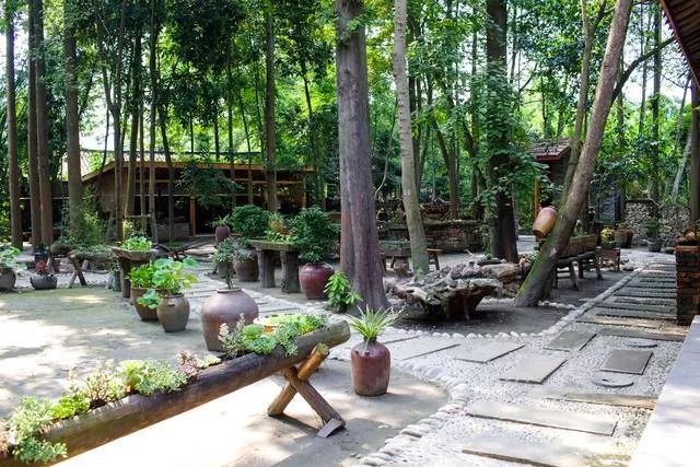 到阳澄湖蟹庄品尝正宗生态大闸蟹,都江堰哪里吃大闸蟹最好