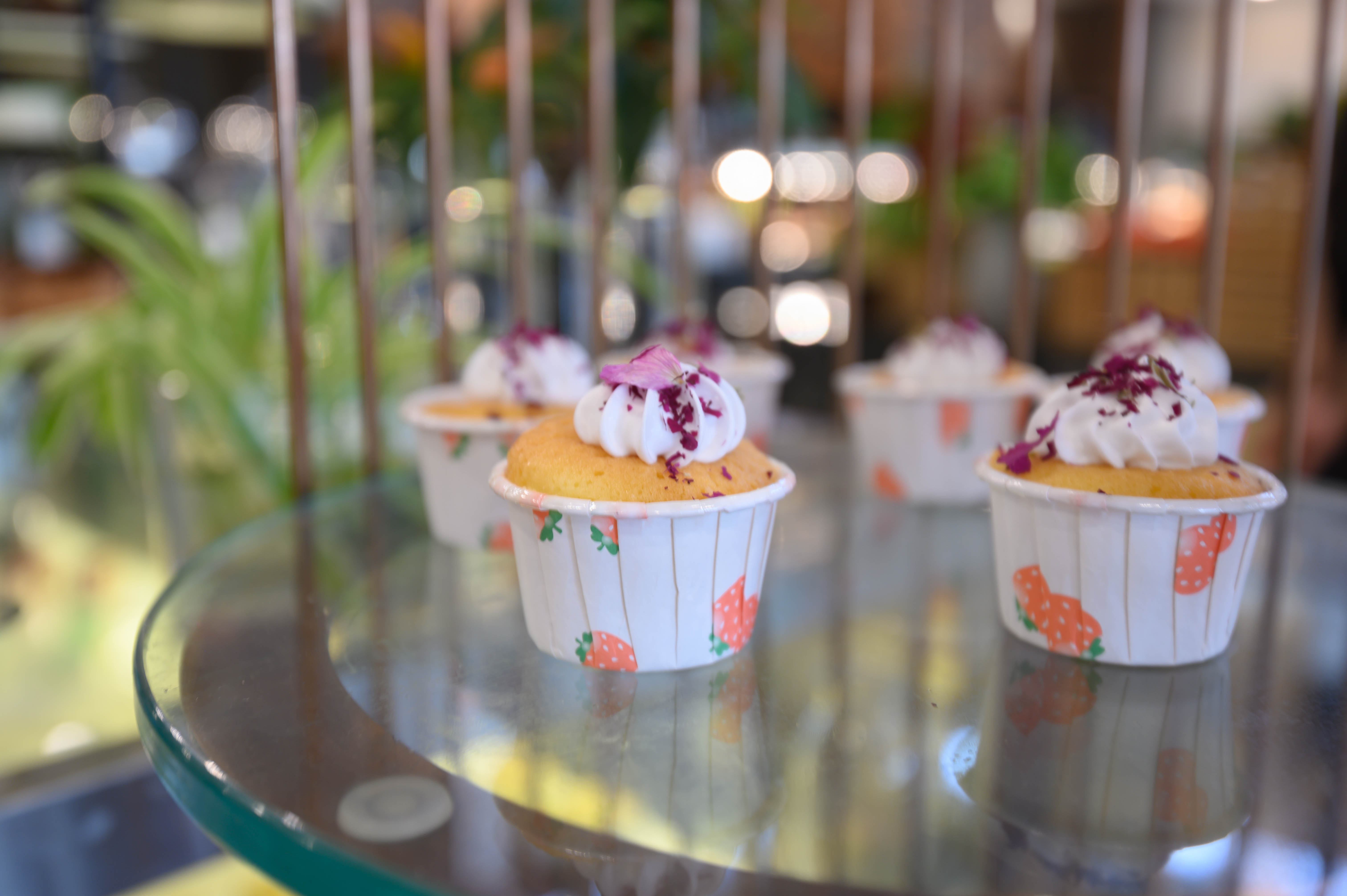 知道乌村吗，孩子来了就不愿离开，住乌村去西栅可以省150元