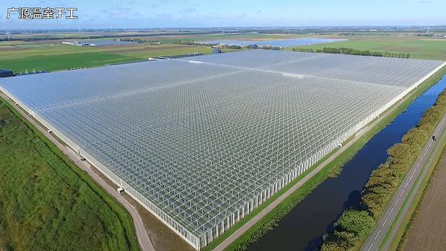 温室大棚有哪些优点,蔬菜大棚和温室大棚有什么不一样