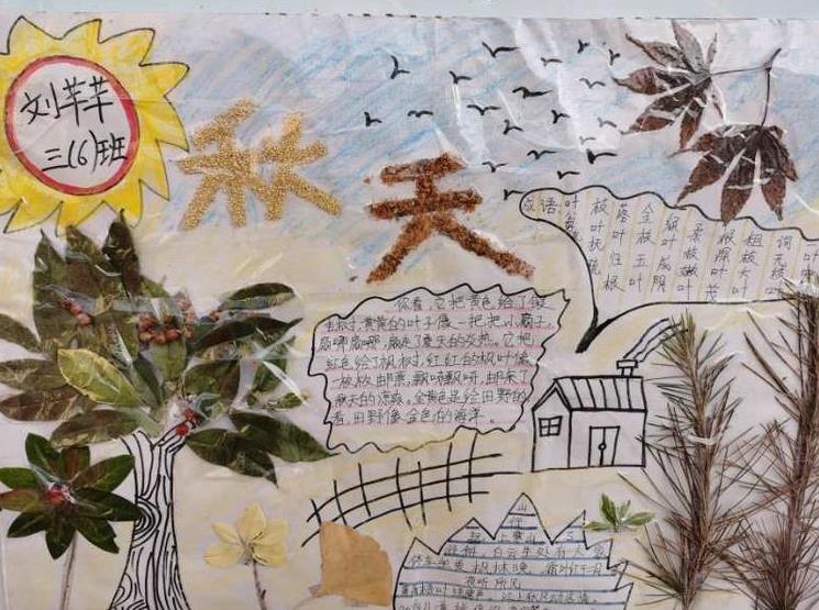 太有创意了！古城实小开展“秋•树叶”为主题的实践活动