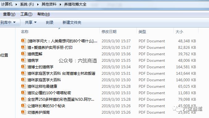 猫咪市场什么时候价格低,猫咪的火热市场