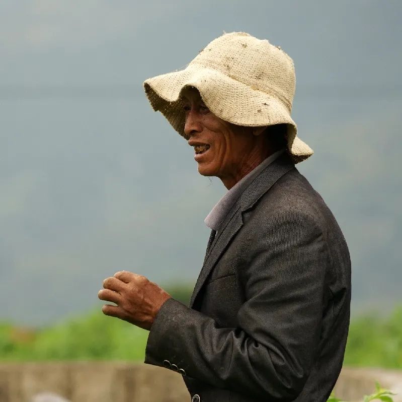 大理特点农业小镇,大理乡村发展现状和发展趋势