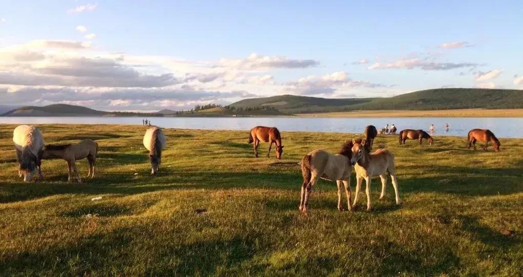 芜湖的人可以去哪外出游玩一天,安徽芜湖人能出去旅游吗