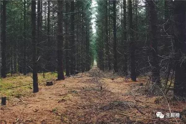 今日高榕资本生鲜寒战