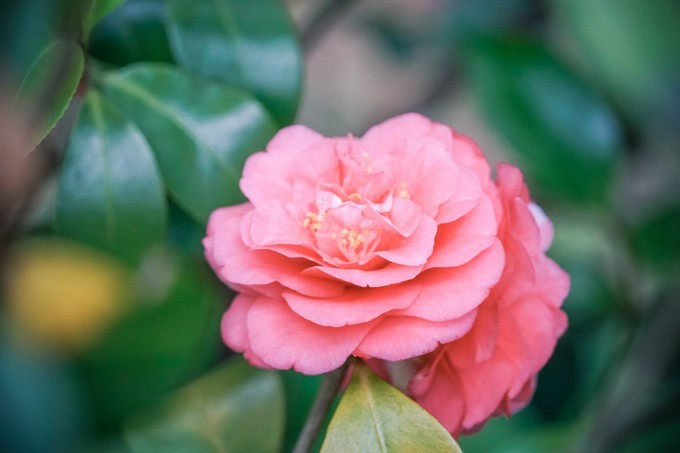 长沙三天两夜吃喝玩乐,长沙三天两晚自由行攻略酒店