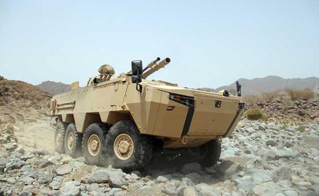 照猫画虎可以做什么,照猫画虎能成功吗