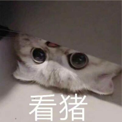 表情包大全可爱简单,可爱表情包我就是个不争气的东西