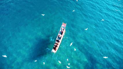 瘦西湖景区评价,扬州瘦西湖评价