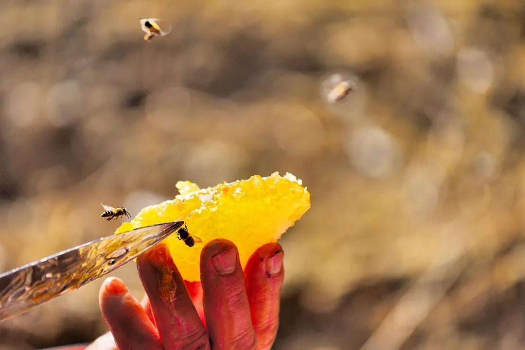 这是一个生机勃勃的地方关于它的故事才刚刚开始